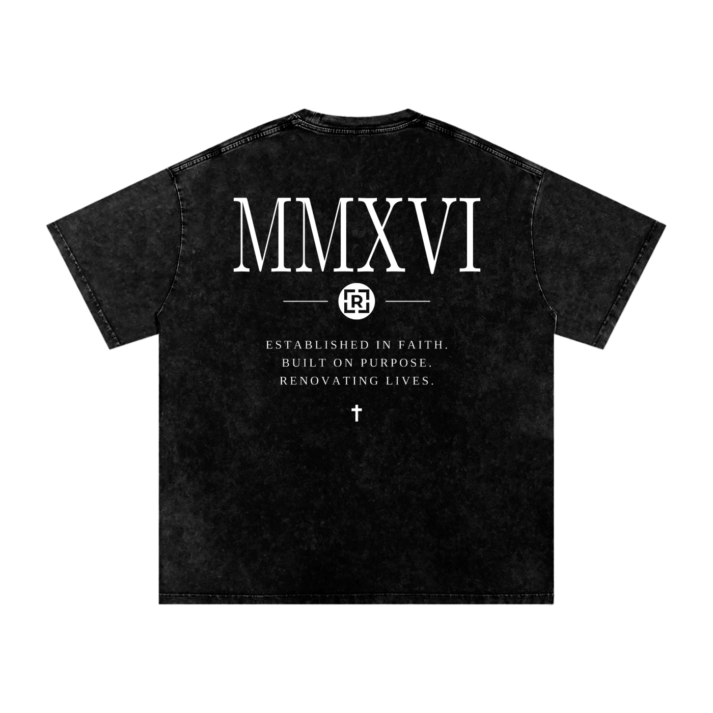 ESTABLISHED (Snow Washed Oversized Cotton T-Shirt)